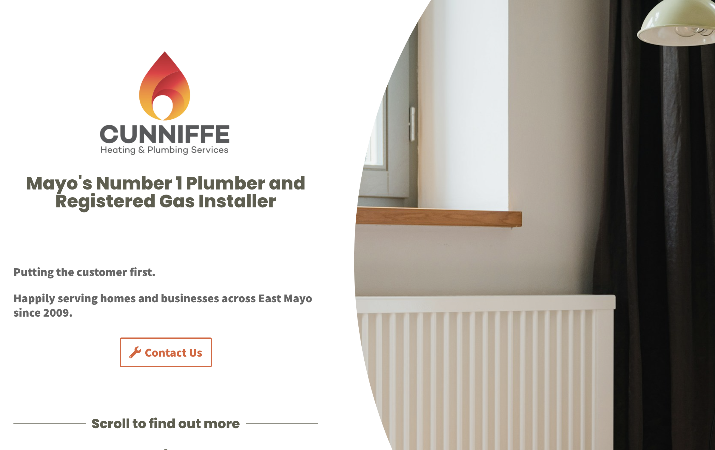 Mayoplumber.ie homepage